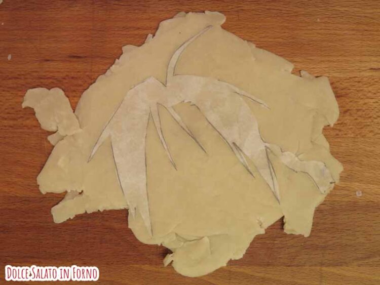 Capelli brise Edward Elric