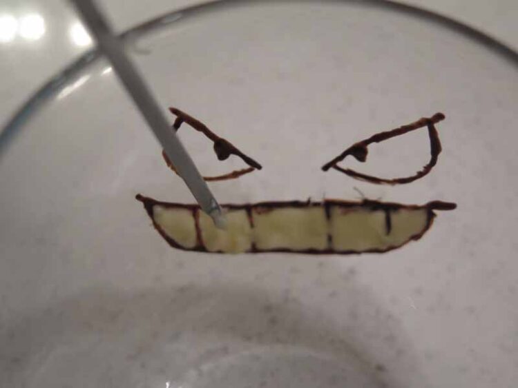 ghigno Gengar con il cioccolato