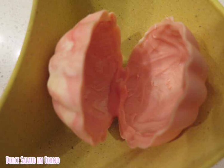 conchiglia unita
