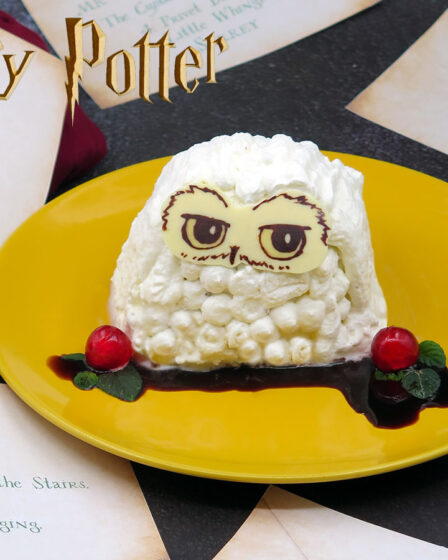 Mini torta a forma di civetta Edvige di Harry Potter