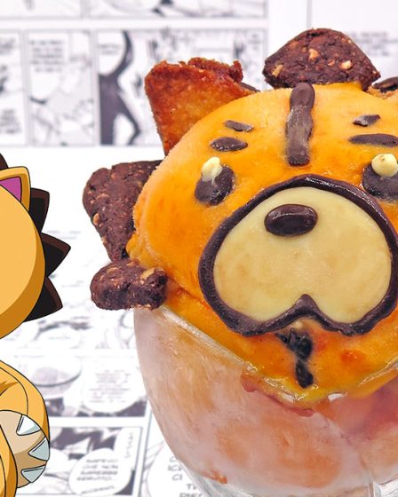 sorbetto all'albicocca a forma di Kon di Bleach