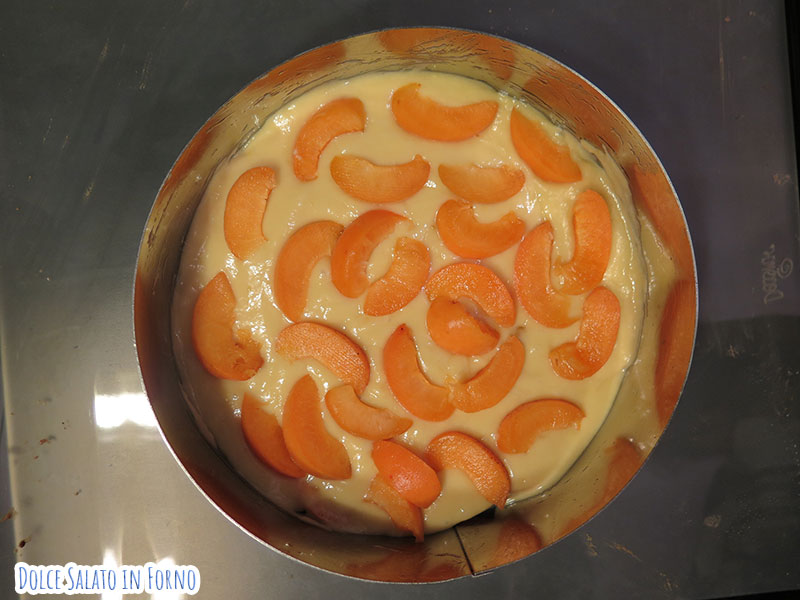 torta allo yogurt e albicocche fresche
